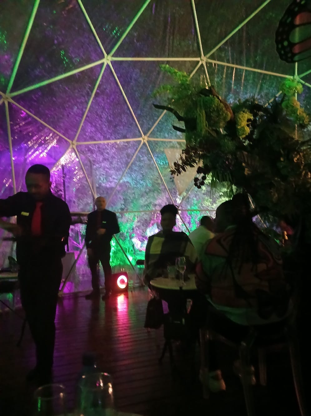 Droomwoud en towerfee