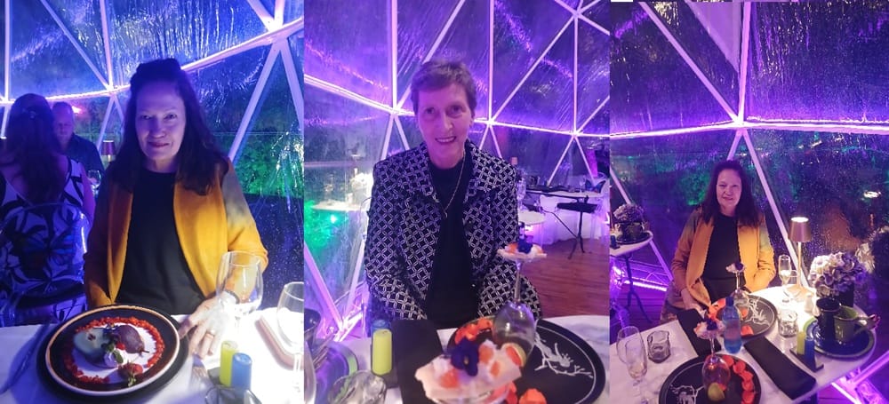 Droomwoud en towerfee