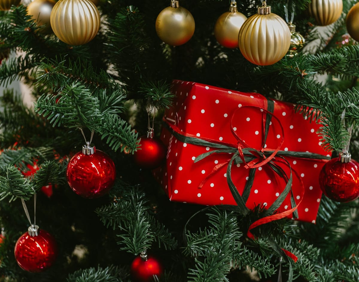 Books under the mistletoe